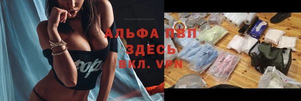 амф Карпинск