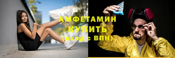 прущие грибы Карталы