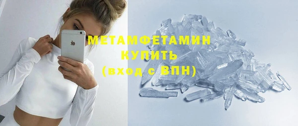 прущие грибы Карталы