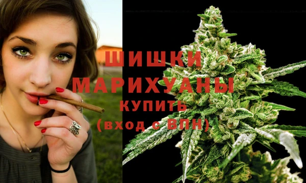 амф Карпинск