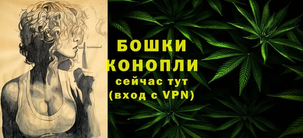 прущие грибы Карталы