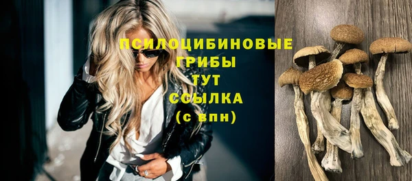 прущие грибы Карталы