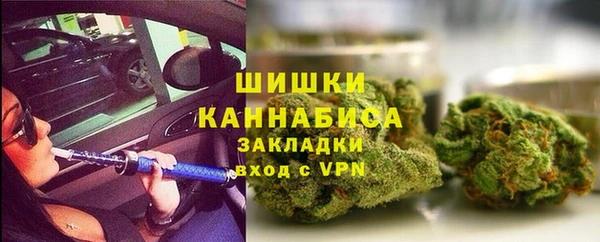 прущие грибы Карталы