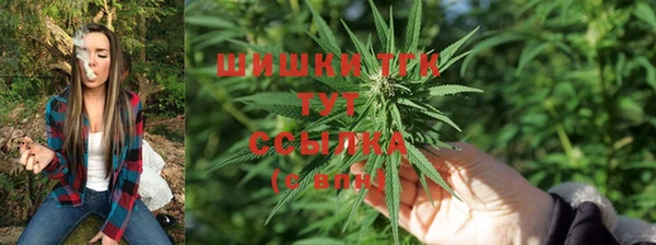 прущие грибы Карталы