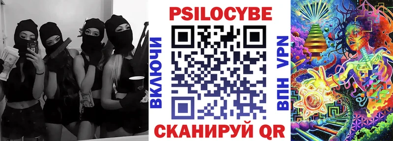 Купить где Багратионовск Псилоцибиновые грибы ЛСД